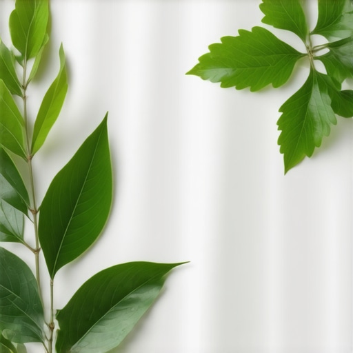 Protect High-End Fabrics with Earth-Friendly and Scent-Free Dry Cleaning